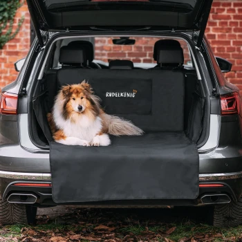 Ein Colliehund entspannt sich auf einer schwarzen Autositzabdeckung im Rücksitz eines Autos, mit dem Text 'RUDELKÖNIG' auf der Abdeckung.