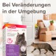 Beaphar CatComfort Starter Kit-Box in einem Wohnzimmer mit einer vorbeigehenden Katze, der Text darüber lautet "Bei Veränderungen in der Umgebung."