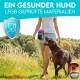 ® Premium Leckerlibeutel für Hunde | Robuster Futterbeutel Hunde mit viel Stauraum grau