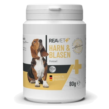 Behälter des REAVET+ HARN & BLASEN Hundefutters, mit einem Beagle auf dem Etikett, mit den Aufschriften 'Hergestellt in Deutschland' und '80g'.