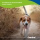 Beagle läuft auf einem Feldweg durch trockenes Gras, die Zunge hängt heraus; sichtbarer deutscher Text über Hundegesundheit und 'Canina®'