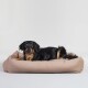 Ein schwarz-brauner Hund, der auf einem plüschigen, beigen Haustierbett vor einem schlichten weißen Hintergrund entspannt.