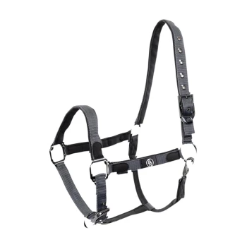 Grau verstellbares Haustiergeschirr mit Metallclips und einem Logo, entworfen für Komfort und Kontrolle während der Spaziergänge.