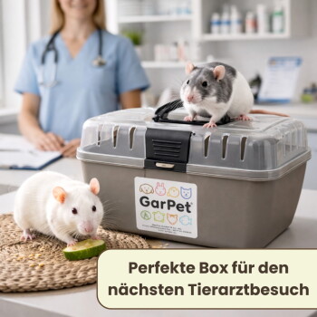 Zwei Ratten mit GarPet-Transportbox; weiße Ratte frisst, graue Ratte sitzt oben; Text: 'Perfekte Box für den nächsten Tierarztbesuch'.