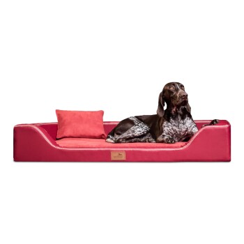 ® Orthopädisches LUXUS-Hundebett MELODY LATEX Soft Kunstleder Velours dunkelrot 1 m, 22 cm, 75 cm