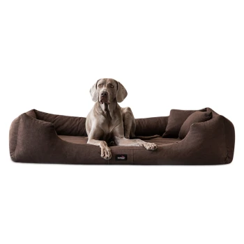 MORITZ VIP Hundebett Hundesofa braun 90 cm, 22 cm, 75 cm Ein grauer Weimaraner-Hund, der auf einem plüschigen braunen Hundebett mit erhöhten Rändern entspannt, mit einem kleinen schwarzen Etikett, auf dem 'furhaven' steht.