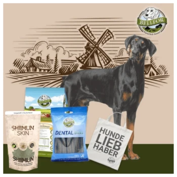 Ein Dobermann steht neben Haustierprodukten, darunter BELLEFOR Hundefutter, SHIIMUN Hautleckerlis und Dentalsticks, mit einem Windmühlen-Hintergrund.