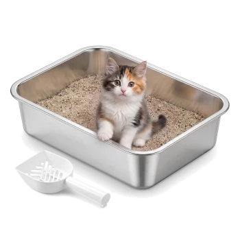 Calico-Kätzchen sitzt in einer Katzentoilette aus Edelstahl, gefüllt mit Katzenstreu, daneben eine weiße Plastikschaufel.