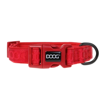 Rote Hundehalsband mit einer stabilen Schnalle und dem Markennamen "DOOG" sowie einem metallenen D-Ring zur Leinenbefestigung.