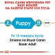 Przewodnik Royal Canin dla psów rasy Boxer, pokazujący przejście od szczeniaka (2 miesiące) do dorosłego (15 miesięcy), z tekstem na temat zmiany diety.