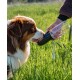 Eine Nahaufnahme eines braun-weißen Hundes, der sanft eine schwarze Wasserflasche für Haustiere im Mund hält, während eine Hand sie auf einem grasbewachsenen Feld anbietet.