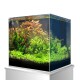 Ein lebendiges, bepflanztes Aquarium mit üppigen grünen Wasserpflanzen und rötlichem Laub, auf einem weißen Ständer.
