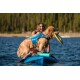 Ein Golden Retriever, der eine blaue Schwimmweste trägt, steht auf einem Paddleboard und hält eine grüne Frisbee im Mund, mit einer Person hinter ihm.