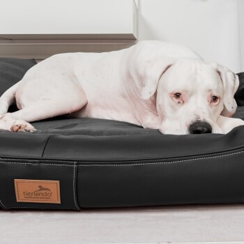 Weißer Hund liegt auf einem schwarzen Tierlando-Hundebett mit braunem Logo-Patch in modernem Innenraum.