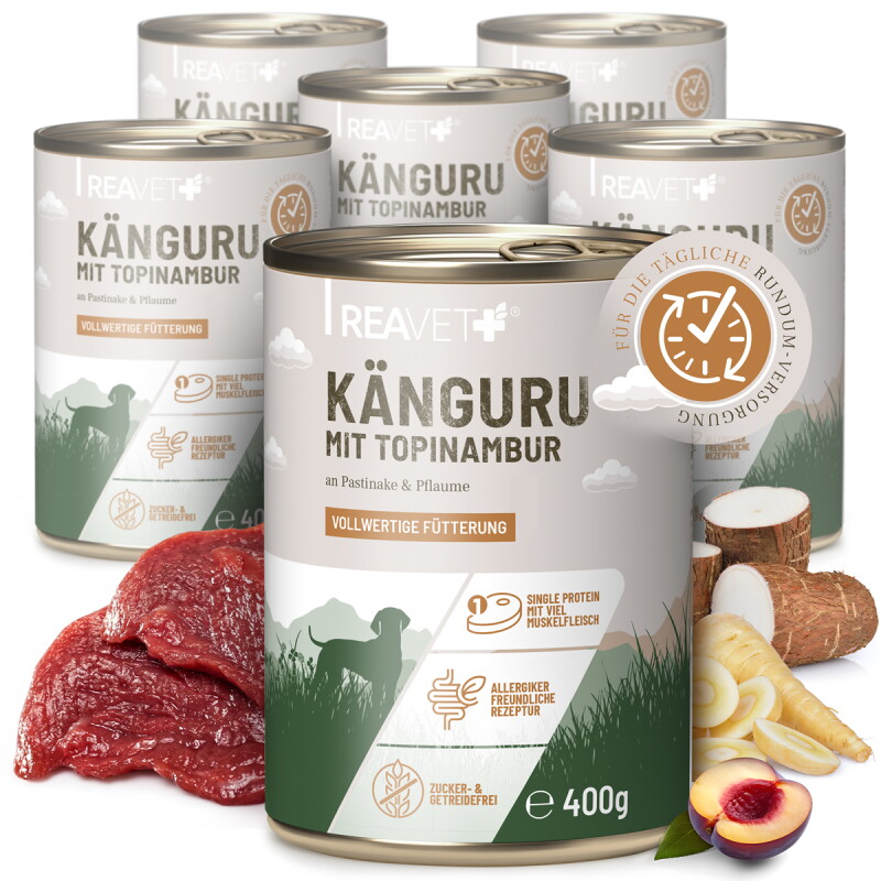 REAVET Hundenassfutter – Känguru mit Topinambur an Pastinake & Pflaume | 6 x 400g