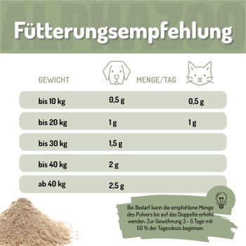 Bild eines Teams aus einem Tiergeschäft mit Hunden, mit Text, der ihre Produkte als nachhaltig und mit Liebe in Dortmund, Deutschland, hergestellt bewirbt.