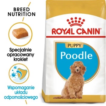 Torba z karmą dla szczeniąt Royal Canin Poodle z puszystym szczeniakiem pudla, z tekstem podkreślającym odżywianie rasy i wsparcie odporności.
