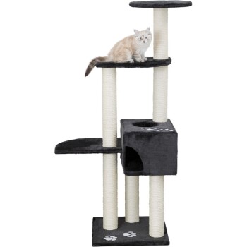 Eine flauschige cremefarbene und graue Katze sitzt auf einem mehrstöckigen schwarzen Katzenbaum mit Kratzpfosten und einem gemütlichen Versteck.