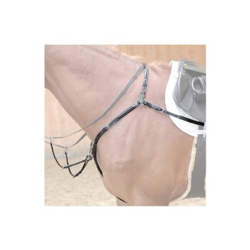 Nahaufnahme eines braunen Pferdes mit einem schwarzen Geschirr und Sattel, das die Geschirrriemen und Beschläge zeigt.