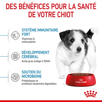 Un chiot joueur se tient à côté d'un bol rouge de Royal Canin, mettant en avant les avantages : soutien immunitaire, développement cérébral et santé du microbiome.