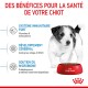 Un chiot joueur se tient à côté d'un bol rouge de Royal Canin, mettant en avant les avantages : soutien immunitaire, développement cérébral et santé du microbiome.