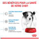 Un chiot joueur se tient à côté d'un bol rouge de Royal Canin, mettant en avant les avantages : soutien immunitaire, développement cérébral et santé du microbiome.