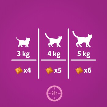 Fütterungsanleitung für Katzen: Eine 3 kg schwere Katze benötigt 4 Leckerlis, eine 4 kg schwere Katze benötigt 5 Leckerlis, eine 5 kg schwere Katze benötigt 6 Leckerlis, mit einem 24-Stunden-Timer-Symbol.