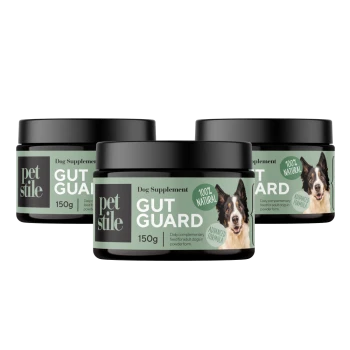 Drei Gläser "Petstile Gut Guard" Hundesupplement, jeweils 150 g, gekennzeichnet als 100% natürlich mit einem Hundebild, das die Verdauungsgesundheit fördert.