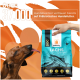 Ein brauner Hund mit herausgestreckter Zunge greift nach einer "Balloony"-Hundefuttertüte, die mit "Lachs Superfood" gekennzeichnet ist.