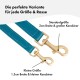 Blaue Hundeleinen mit goldenen Verschlüssen, beschriftet für Standardgröße (2 cm Breite, großer Verschluss) und kleine Größe (1,5 cm Breite, kleiner Verschluss).