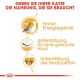 Infografik, die die Vorteile von Katzenfutter bewirbt: hoher Energiegehalt, Unterstützung für gesunde Haut und Herzfunktion, mit deutschem Text.