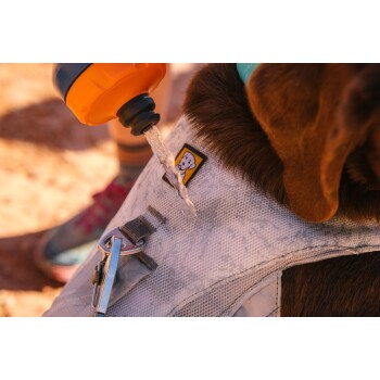 Eine Nahaufnahme des Geschirrs eines braunen Hundes, auf das eine Wasserflasche Wasser gießt, mit einem gelben Patch mit einem Hundelogo.