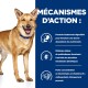 Prescription Diet i/d nourriture pour la digestion, au poulet 12 kg