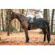 Ausreitdecke Lancaster mit Teddyfell schwarz M