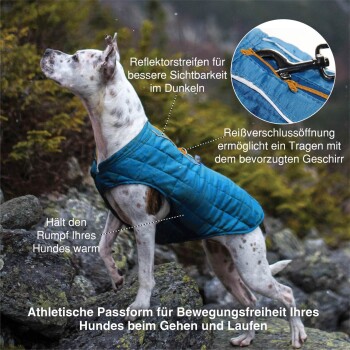 Ein Hund in einer blauen isolierten Jacke im Freien, mit reflektierenden Streifen, einem Reißverschluss für das Geschirr und einem Design für Bewegungsfreiheit.