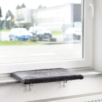 Eine graue Fensterbank für Haustiere, die an einer weißen Wand befestigt ist und auf eine Straße mit geparkten Autos draußen blickt.