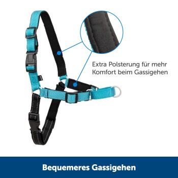 Ein türkisfarbenes und schwarzes Hundegeschirr mit verstellbaren Riemen, mit zusätzlicher Polsterung für Komfort während der Spaziergänge, beschriftet mit "Bequemeres Gassigehen."