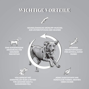 Illustration eines gesunden Hundes mit Text zu den Vorteilen von Tierfutter: Gelenkunterstützung, ausgewogene Ernährung, essentielle Öle, keine künstlichen Zusätze.