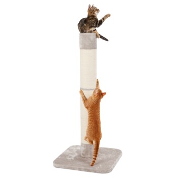 Zwei Katzen, eine getigerte sitzt oben und eine orange klettert an einem hohen beigen Kratzpfosten auf grauem Sockel.