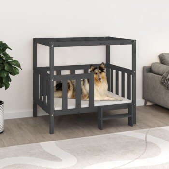Ein Collie, der auf einem stilvollen schwarzen Holz-Hundebett mit einem weißen Kissen in einem gemütlichen Wohnzimmer entspannt.