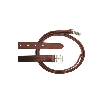 Braune Leder-Hundeleine mit einer silbernen Schnalle, flach auf einem weißen Hintergrund ausgelegt.