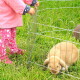 Kind in rosa Kleidung hält einen Metall-Tierauslauf mit einem hellbraunen Widderkaninchen darin auf Gras.