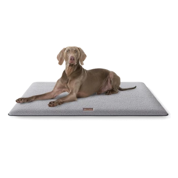 Ein grauer Hund liegt bequem auf einem plüschigen, grauen Hundebett mit glatter Oberfläche und einem kleinen Lederetikett.