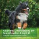 Ein fröhlicher Berner Sennenhund läuft auf einem grünen Feld mit dem Text: "Natürliche Unterstützung für Gelenkfunktion & Beweglichkeit."