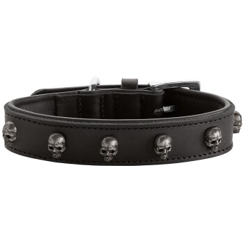 Halsband Tijuana schwarz 40 cm