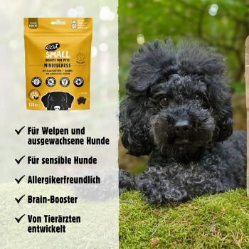 Ein schwarzer, lockiger Hund ruht auf grünem Moos neben gelben "eat SMALL" Snacks für Welpen und erwachsene Hunde.