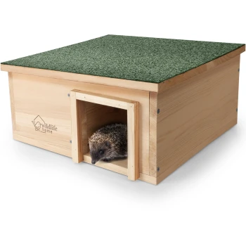 Ein Holzhaus für Igel mit einem grünen strukturierten Dach, mit einem Igel, der aus dem Eingang schaut.