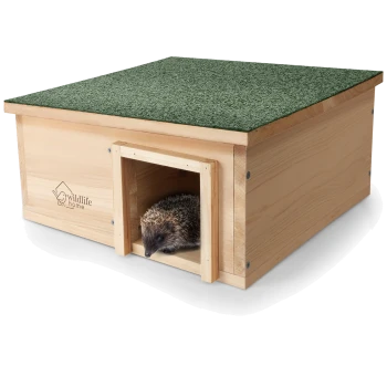 Ein Holzhaus für Igel mit einem grünen strukturierten Dach, mit einem Igel, der aus dem Eingang schaut.