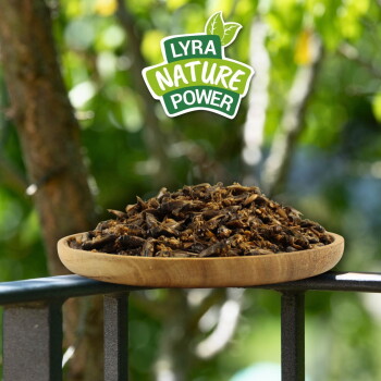 Holzteller gefüllt mit getrockneten Insekten auf einem Geländer, mit dem Logo "Lyra Nature Power" darüber vor grünem Blatt-Hintergrund.