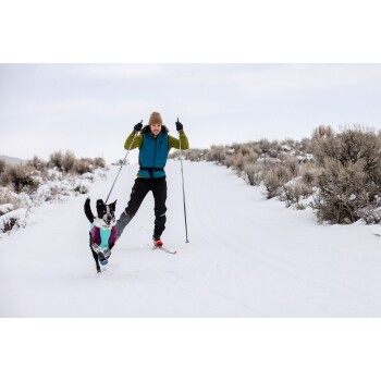 Eine Person in einer bunten Winterjacke fährt auf einem verschneiten Weg Ski mit einem verspielten schwarz-weißen Hund, der einen hellen Pullover trägt.